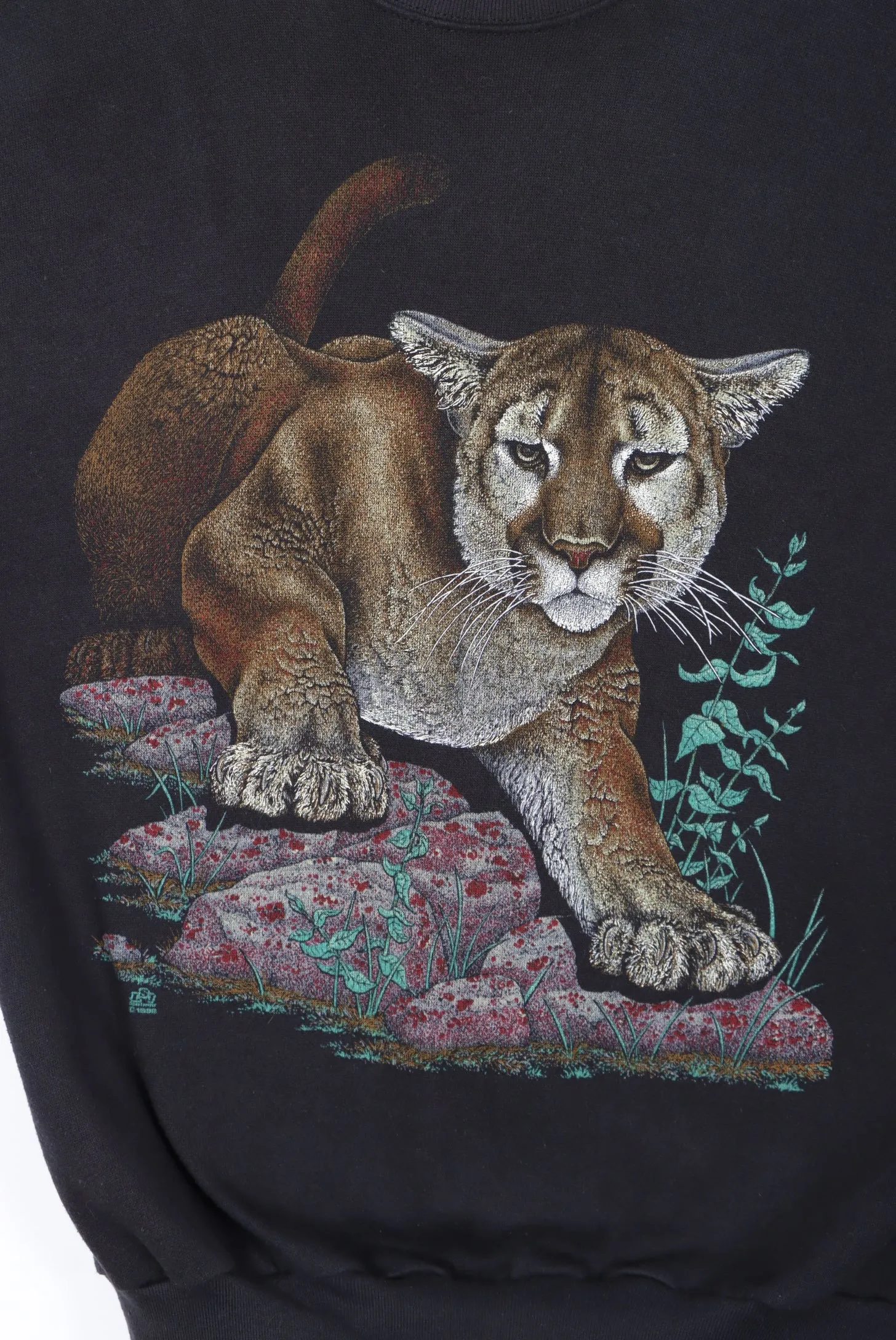 Mountain Lion Nature Wildlife Sweatshirt USA Made (S-M)