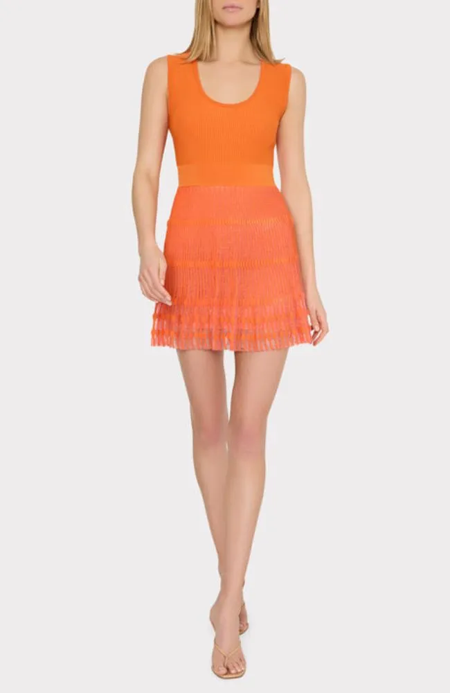 Sheer Knit Flare Mini Dress
