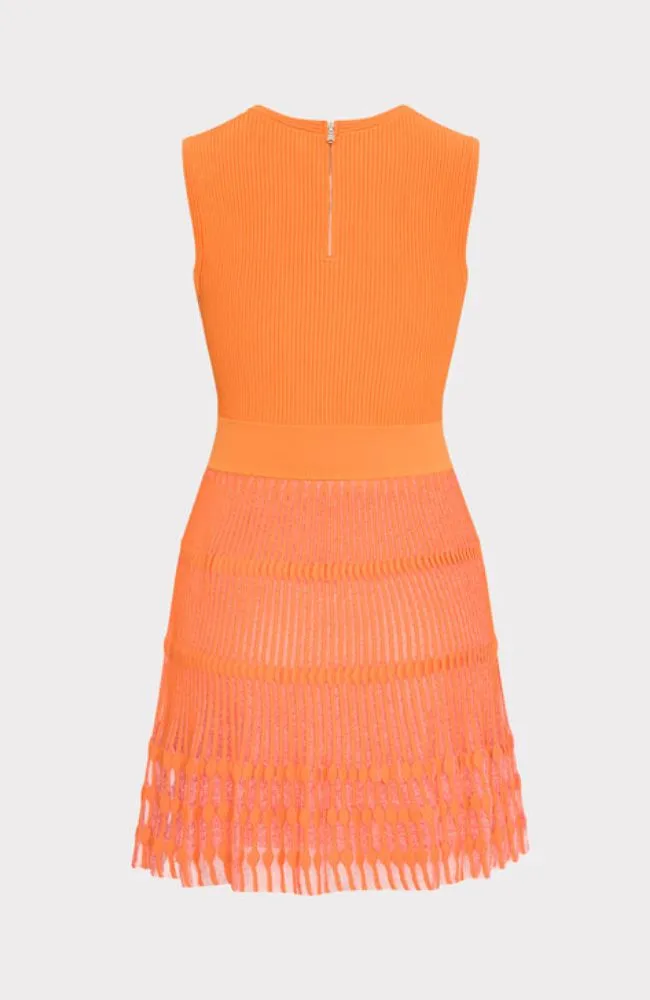Sheer Knit Flare Mini Dress